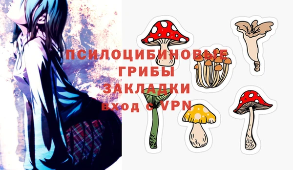 ECSTASY Няндома