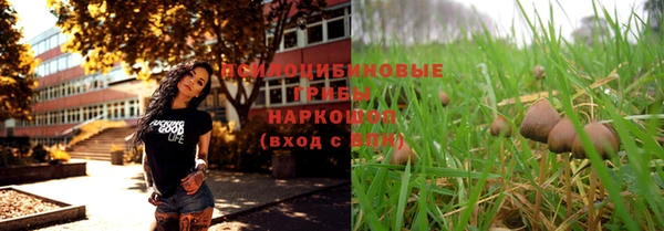 скорость Алексин
