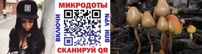 Галлюциногенные грибы ЛСД Петровск-Забайкальский